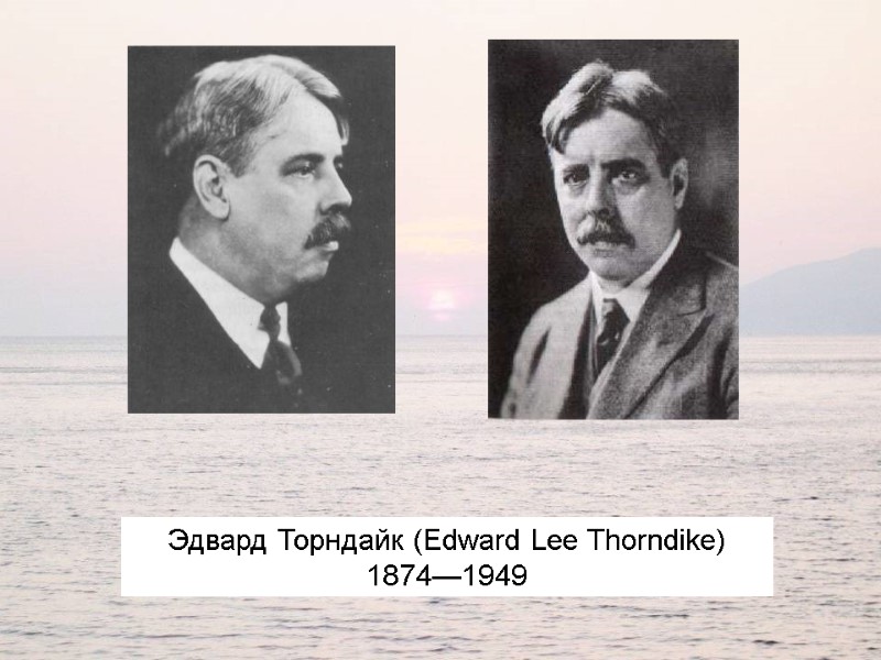 Эдвард Торндайк (Edward Lee Thorndike) 1874—1949